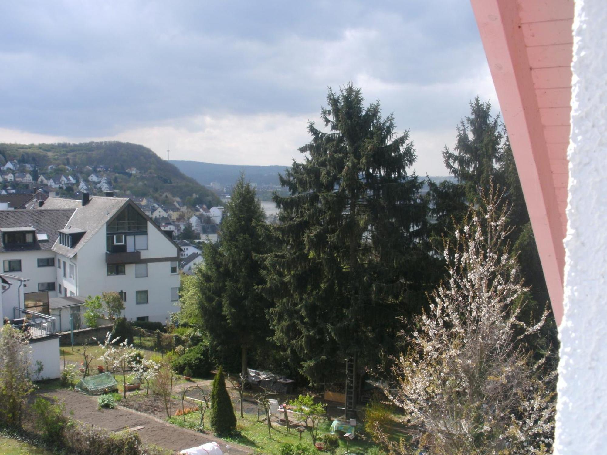 Hotel Rhein-Mosel-View Urbar  Kültér fotó